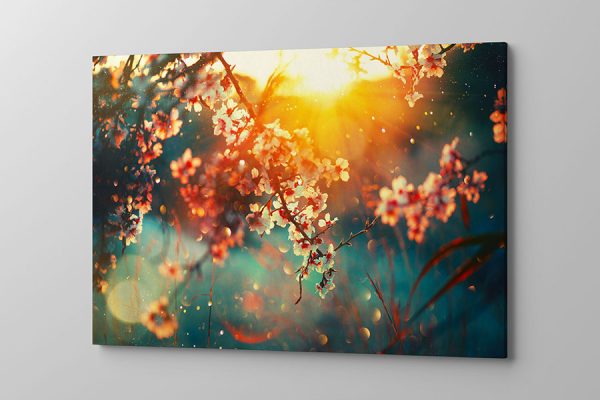 Obraz na płótnie barwne kwiaty na łące