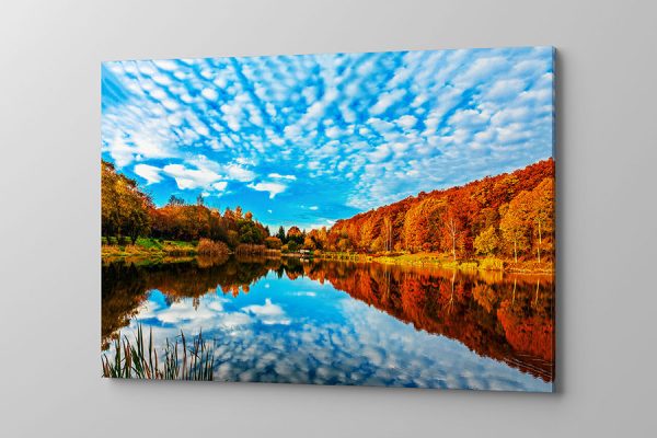 Obraz na płótnie barwne jesienne drzewa las natura przyroda niebo