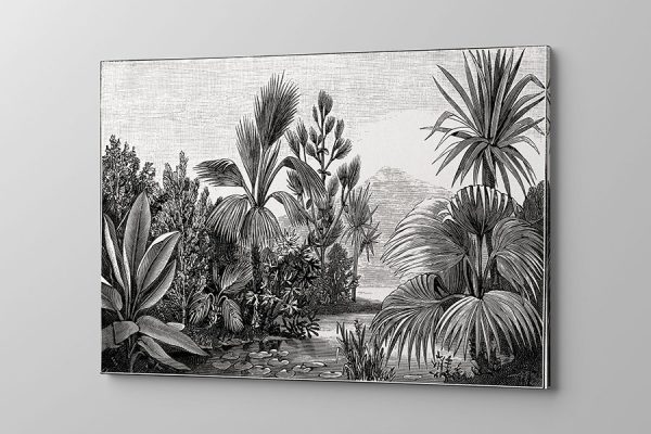 Obraz na płótnie czarno białe tropiki