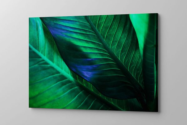 Obraz na płótnie liść