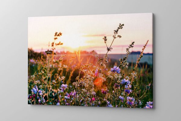 Obraz na płótnie wiosenna łąka z kwitnącymi kwiatami