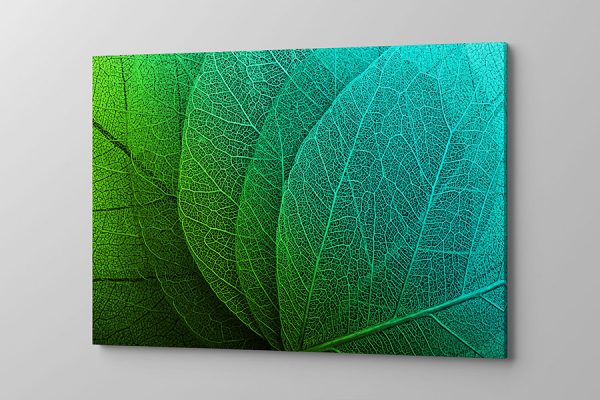 Obraz na płótnie niebiesko zielone liście z bliska