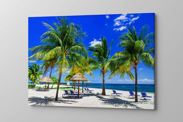 Obraz na płótnie rajska plaża z palmami