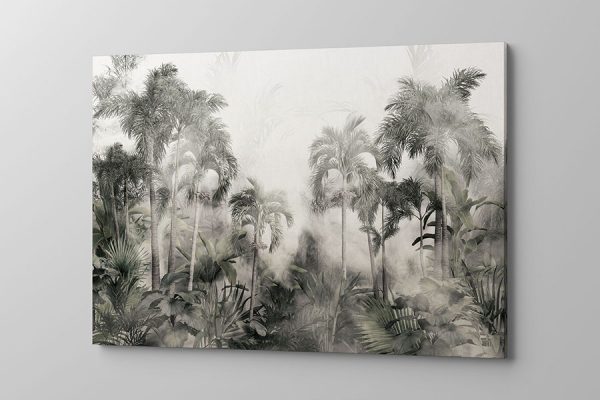 Obraz na płótnie czarno biały tropikalny las