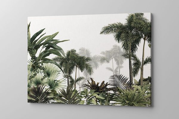 Obraz na płótnie las tropikalny na białym tle