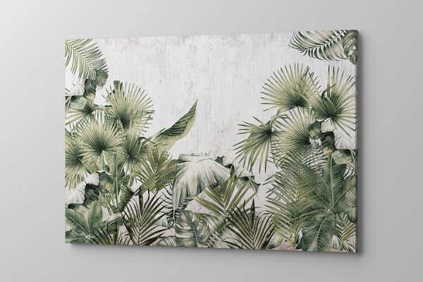 obraz na płótnie tropikalny las na szarym tle