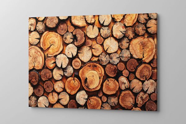 Obraz na płótnie wnętrze drzewa