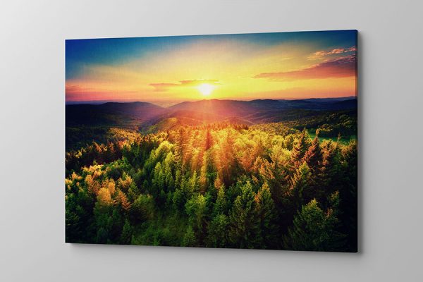 Obraz na płótnie kolorowa łąka o zachodzie słońca