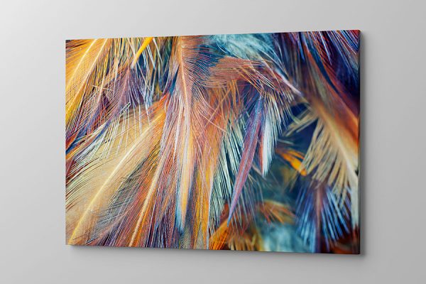 Obraz na płótnie śliczne kolorowe pióra
