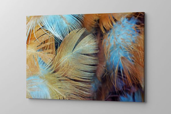 Obraz na płótnie niebiesko złote duże pióra