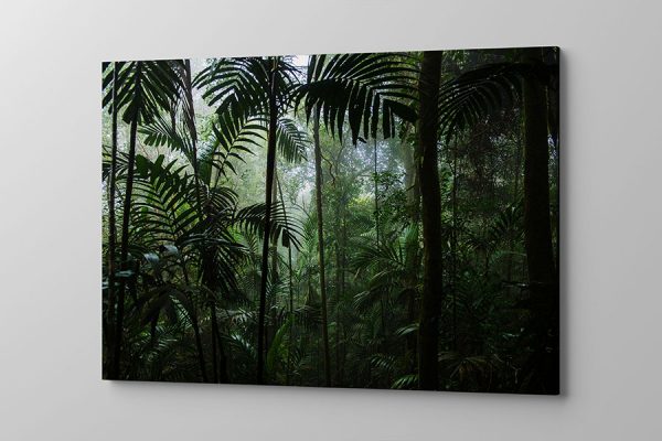 Obraz na płótnie śliczny ciemnozielony tropikalny las