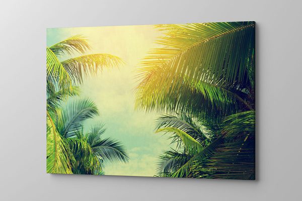 Obraz na płótnie zielone liście palmy na tle pięknego nieba