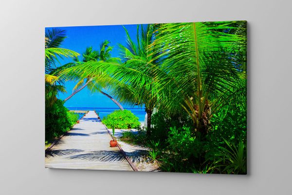 Obraz na płótnie przepiękne palmy przy pomoście