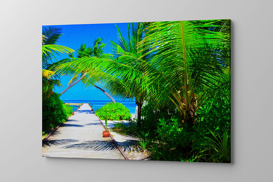 Obraz na płótnie przepiękne palmy przy pomoście