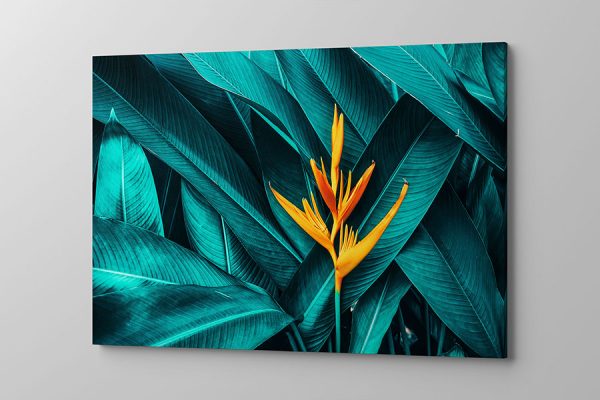 Obraz na płótnie piękne zielone liście z pomarańczowym kwiatem