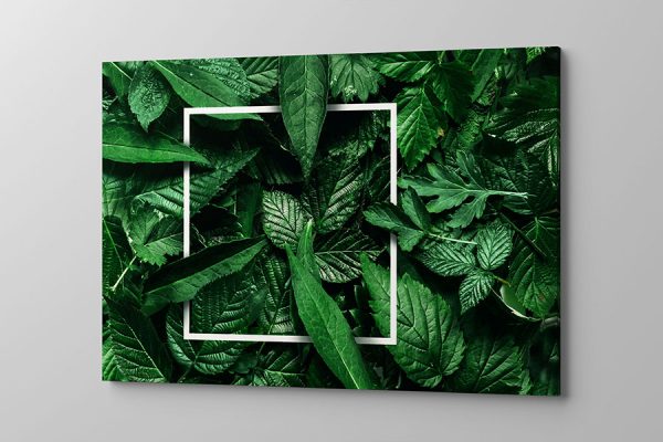 Obraz na płótnie kompozycja zielonych liści