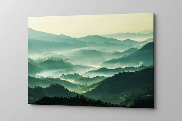 Obraz na płótnie zielono szary las we mgle