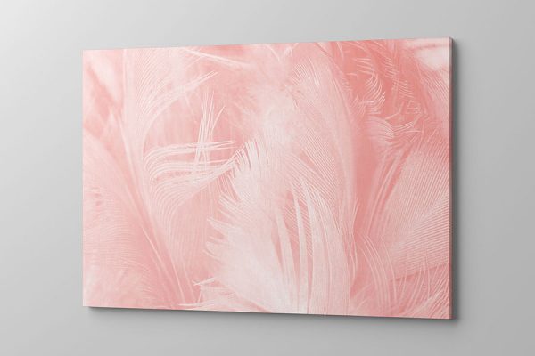 Obraz na płótnie różowe pióra
